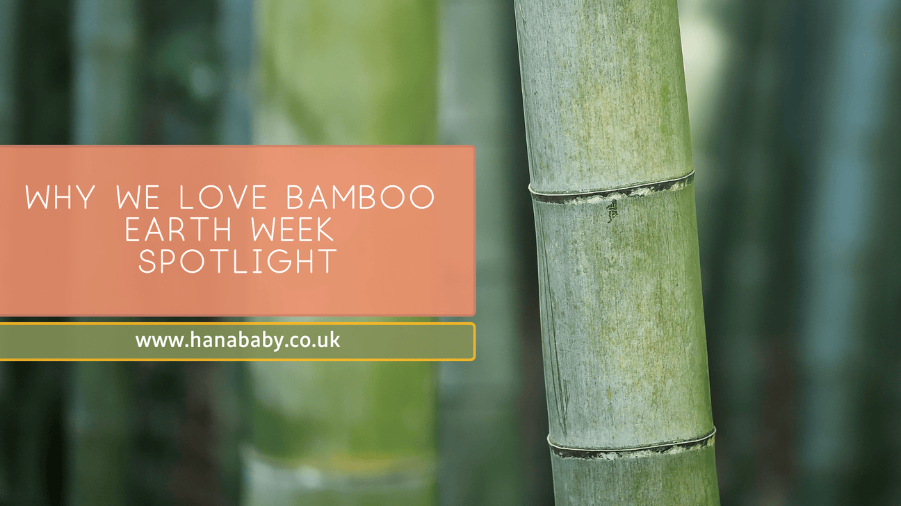 Why We Love Bamboo – Earth Week Spotlight - Hanababy