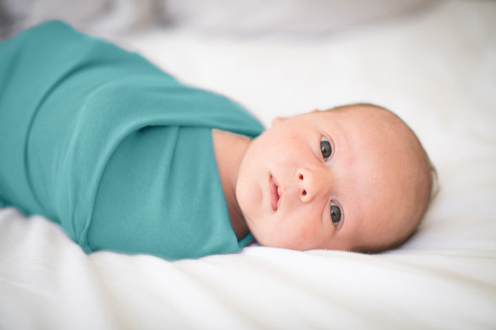 A newborn baby lies Swaddled in a baby Blanket on a white background