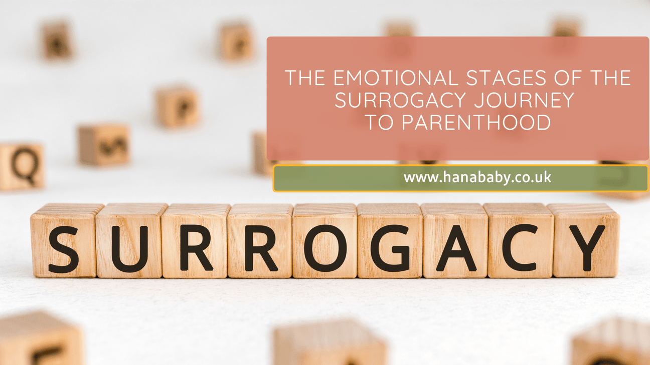 The Emotional Stages of the Surrogacy Journey to Parenthood - Hanababy